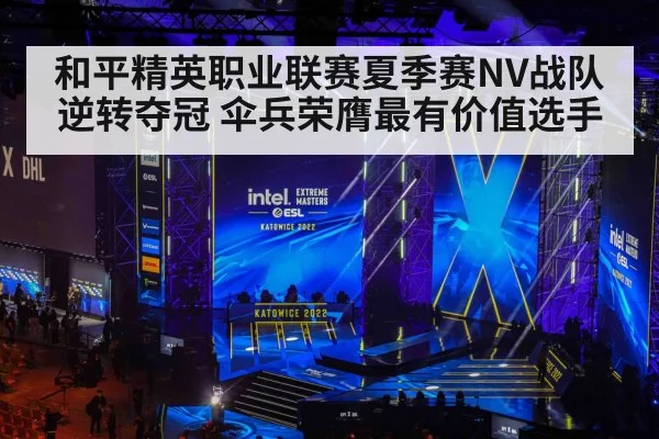 和平精英职业联赛夏季赛NV战队逆转夺冠 伞兵荣膺最有价值选手