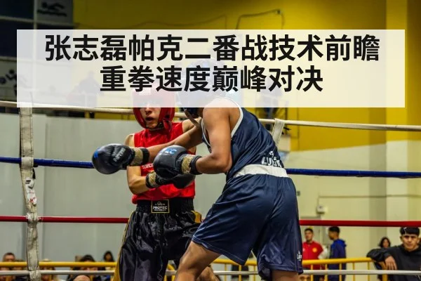 张志磊帕克二番战技术前瞻重拳速度巅峰对决