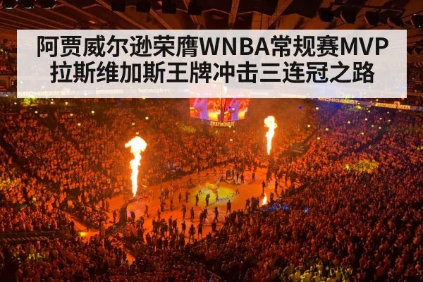 basketball arena crowd lights